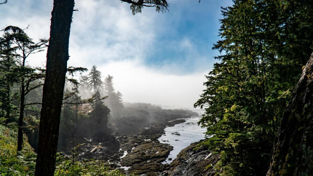 Odyssey Shores Guest Suite Ucluelet Kültér fotó