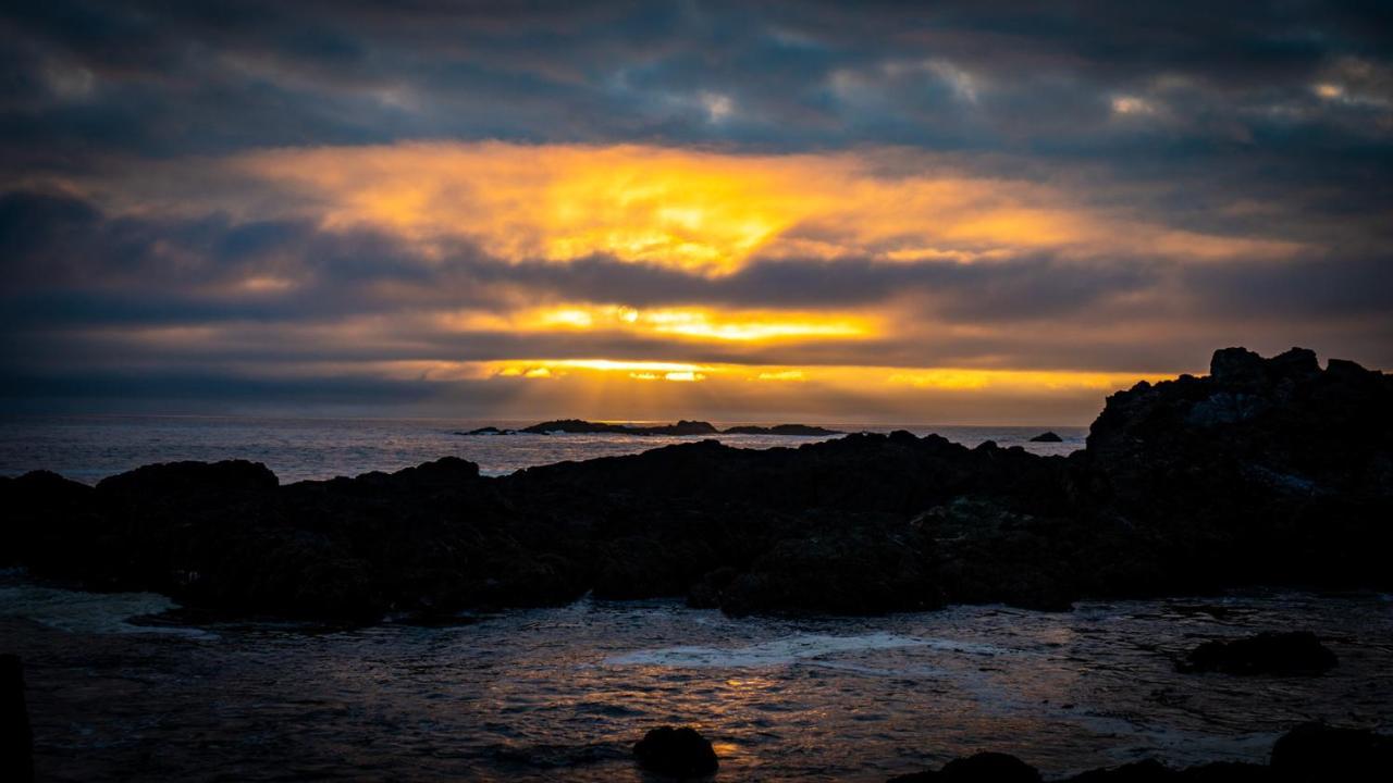 Odyssey Shores Guest Suite Ucluelet Kültér fotó