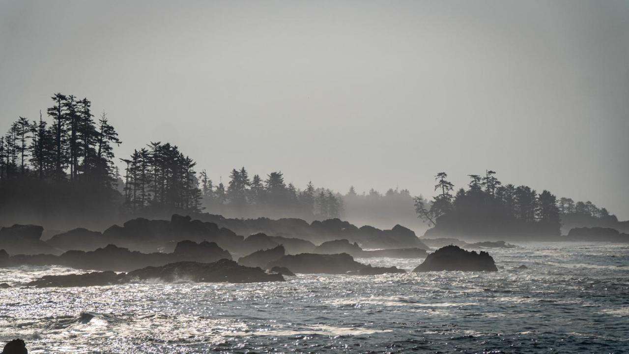 Odyssey Shores Guest Suite Ucluelet Kültér fotó