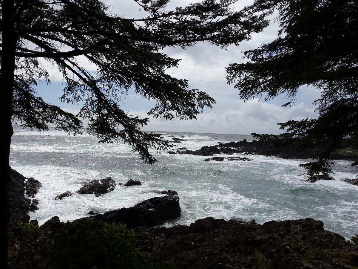 Odyssey Shores Guest Suite Ucluelet Kültér fotó