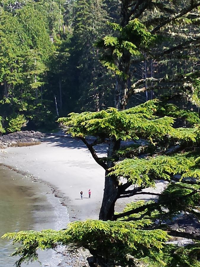 Odyssey Shores Guest Suite Ucluelet Kültér fotó