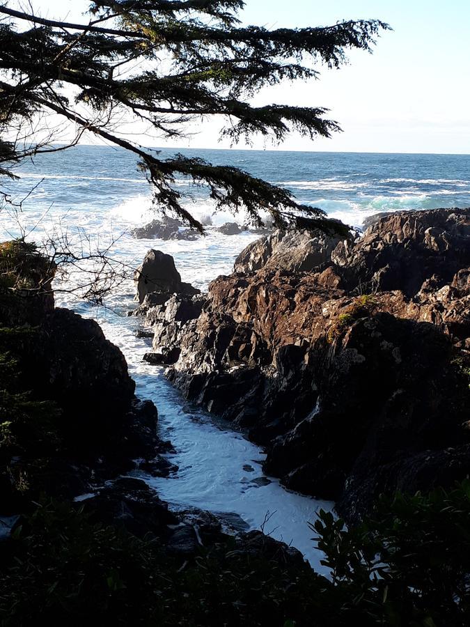 Odyssey Shores Guest Suite Ucluelet Kültér fotó