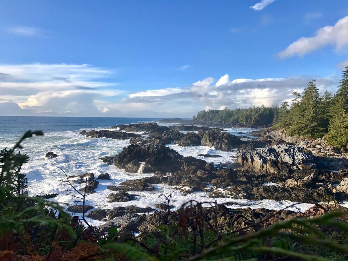 Odyssey Shores Guest Suite Ucluelet Kültér fotó