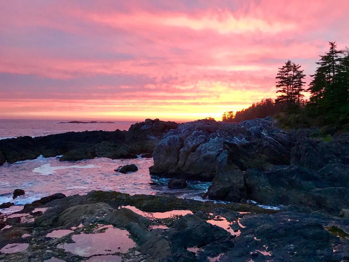 Odyssey Shores Guest Suite Ucluelet Kültér fotó