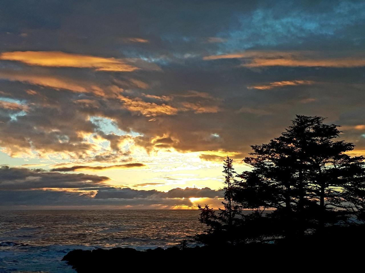 Odyssey Shores Guest Suite Ucluelet Kültér fotó